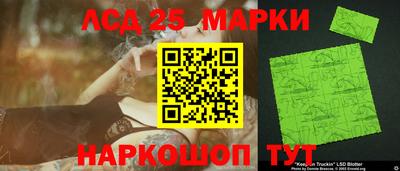 крисы Кимры