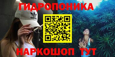 дмт Кинель