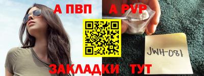 СК Кингисепп