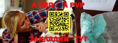 СК Кингисепп