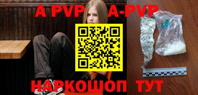 СК Кингисепп