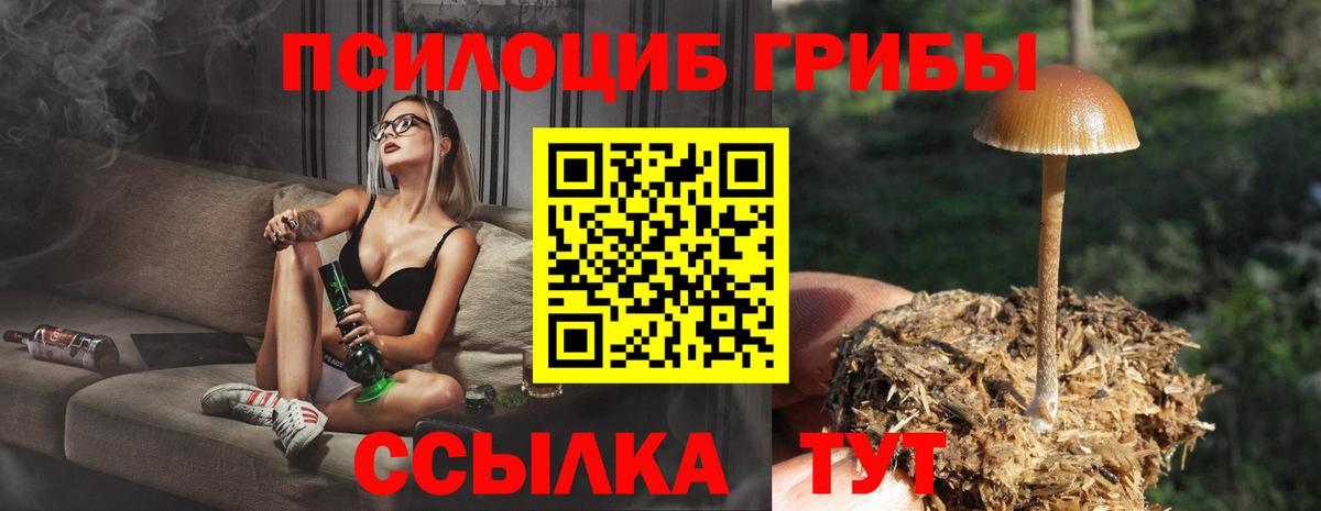 Галлюциногенные грибы GOLDEN TEACHER Кунгур